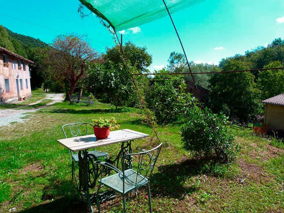 La Cabana Del Moli De La Plana Riudaura Exterior foto
